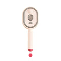 Aoifn Electric Spray Hair Brush, Air Cushion Massage Comb with Red Light, Cordless Detangling Steam Brush for Frizz Control