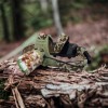 Ліхтар налобний 2130-T6 Military, акумуляторний 18650х2, zoom, зарядка micro USB, Головний ліхтарик