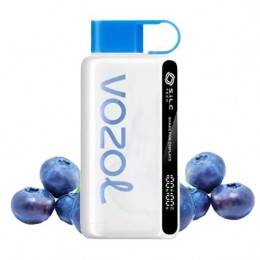 Vozol 12000. Чорниця (Blueberry Storm)