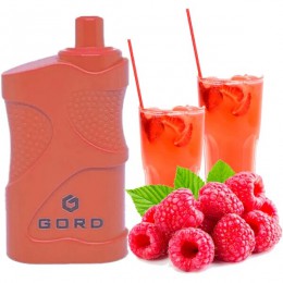 GORD 4000. Малина мохіто (Raspberry Mojito)