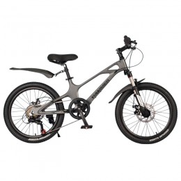 Дитячий велосипед Hammer M-1 20 дюймів. Колір: сірий