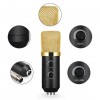 Мікрофон Студійний конденсаторний Music DJ. M-800U зі стійким та вітрозахистом